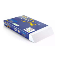 LZ 打印纸/复印纸 70g A5 10包/箱 (1箱)