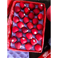 新西兰红玫瑰苹果礼盒 12粒水果礼盒(150G-180G)