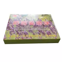 企业专享 档案室专用防虫驱虫 防霉驱虫净 一盒