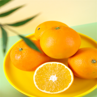 赣南 脐 橙 5斤装