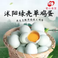 [江苏扶贫][财政集采][沭阳]虞美人 绿壳草鸡蛋 17.5kg*10箱