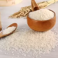 [江苏乡村振兴][财政集采][丰县]汉之尚 福利专用清香大米(5kg/袋*100袋)