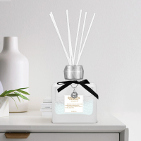 WQMD春风竹藤精油熏香家用满天星香80ml 1瓶（CFX001）