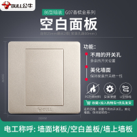 公牛开关插座墙壁家用- 空白面板 G07香槟金