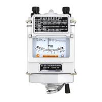 BLD 绝缘电阻测试仪 ZC25-4X胶壳100V-白色(单位:个)