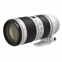 佳能(Canon)EF 70-200mm f/2.8L IS III USM 单反镜头 大三元 变焦 (一个装)