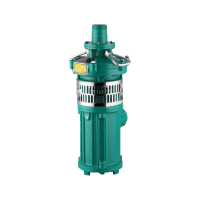 龙珠 油浸泵高扬程多级泵大流量农用灌溉抽水泵喷泉水泵 65 QY20-50-7.5
