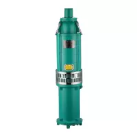 龙珠 油浸泵高扬程多级泵大流量农用灌溉抽水泵喷泉水泵 65 QY20-36/2-3