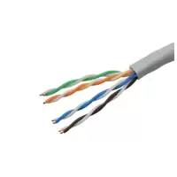 ZzwxDL 网线 家用办公五类网线 10米