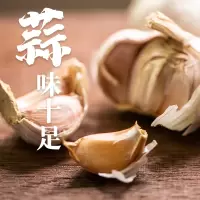 [江苏扶贫][财政集采][丰县]山源农家大蒜 9斤/袋