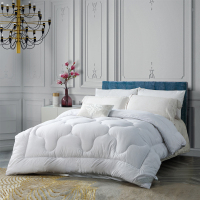 水星家纺 清朗净醛抗菌羽丝绒被第二代 200*230cm 单张价格