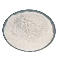 银龙鱼 生石灰粉杀菌消毒除湿防潮防霉除味驱虫净水白灰刷树粉10斤/袋
