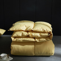 文苏 可定制PB61-039杜邦纤维羽绒被30个起订