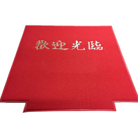 雅的 3A塑料加厚防滑 PVC拉丝圈电梯地垫门垫酒店迎宾 单位:米