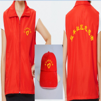 志愿者马甲+帽子