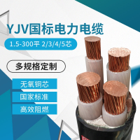 天通线缆 铠装YJV22国标3*70+1*35 铜电缆 70平方 1米
