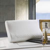 BOSS HUGO BOSS 乳胶枕 HBZX-005(X)