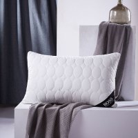 BOSS HUGO BOSS 舒适鹅毛枕HBZX-008（X）