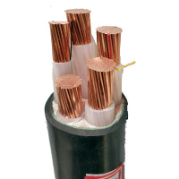 天通线缆 铠装YJV22国标4*25+1*16铜电缆 25平方 1米