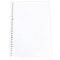 国誉(KOKUYO) LL0101 B5 26孔 100页/本 活页芯 (计价单位:本)