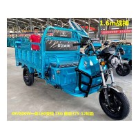 电动三轮车1.6m战神48v800w