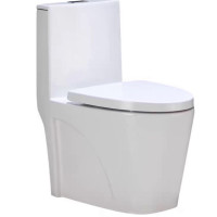 大管道马桶坐便器孔距250mm坑距