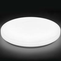 豪庭智能全塑吸顶灯TM2116LW