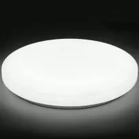 豪庭智能全塑吸顶灯TM2116LW