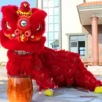 舞狮服装整套成人双人全套舞龙舞狮子头羊毛醒狮标准佛山南狮 红色
