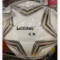龙翔足球