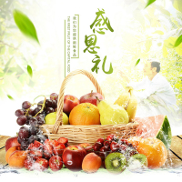 SC水果礼盒E 净果约6.7kg金果凤梨火龙果龙眼凯特芒红玫瑰苹果甜橙香梨葡萄柚