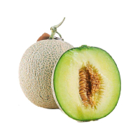 SC网纹蜜瓜2粒装 6斤