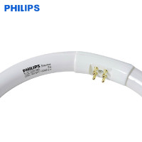 飞利浦 T5细管 22W 直径18.5cm 环形灯管 白光(单位:个)