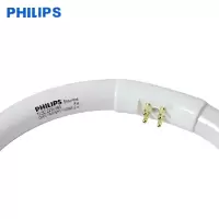 飞利浦 T5细管 22W 直径18.5cm 环形灯管 白光(单位:个)