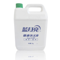 LZ 洗手液5kg/清洁温和洗手液