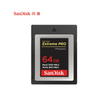 闪迪64G Type-B存储卡