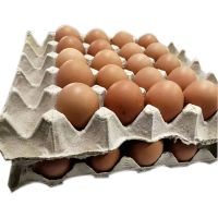 普通鸡蛋 40枚