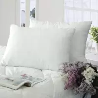 吉祥三宝健康白色睡眠枕芯(一个装)