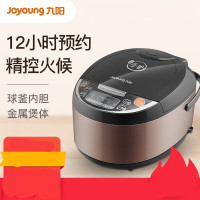 九阳(Joyoung) 电饭煲F40FZ-F6352