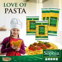 圣塔索菲亚 螺旋状 意大利面500g/袋 12袋/箱