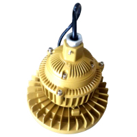 灯具 防爆LED泛光灯具\AC220V\150W\ExdⅡC T4