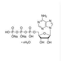 5’-腺苷三磷酸二钠盐(5’-ATP-Na2,sigma A3377-1G)