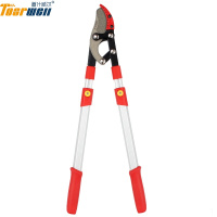 道什威尔 TOSRWELL 粗枝剪刀大力剪省力剪花枝剪园艺剪刀树枝剪修枝剪花剪粗枝大剪刀果树园林剪刀