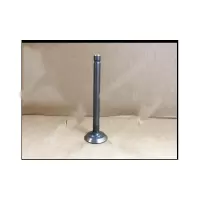 雅马哈排气门 EDL13000TE