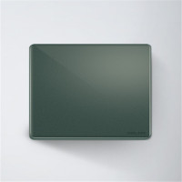 德力西(DELIXI)EW86B/G 空白面板墨彩暗夜绿色磨砂钢化玻璃开关面板