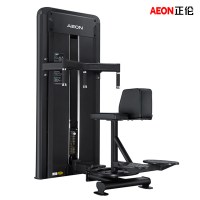 正伦(AEON)CS-816腰部旋转训练器健身房专用健身器材