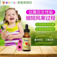 原装进口 美国童年时光Childlife紫雏菊滴剂30ml 6个月以上婴幼儿维生素 儿童流鼻涕 对抗流感换季预防 单瓶价