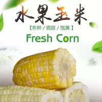 [江苏乡村振兴][财政集采][睢宁]黄甜水果玉米十根+肉松+秋葵脆 套餐