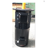 变频调速三相异步电动机 YZPEJ100L1-4 2.2KW（不含安装）