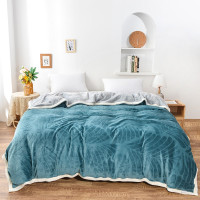德泽 DZ-T658 雕花绒双层被套毯